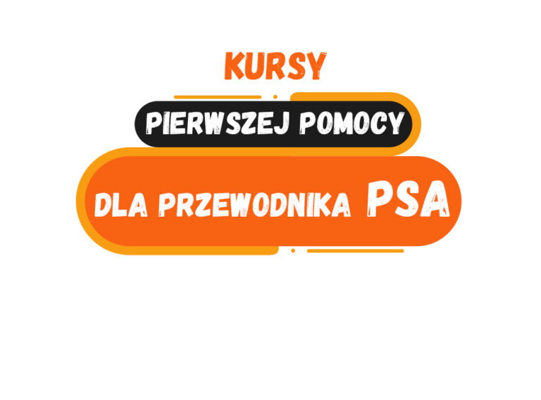 Pierwsza Pomoc dla Przewodnika i Jego Psa – materiały do kursu stacjonarnego